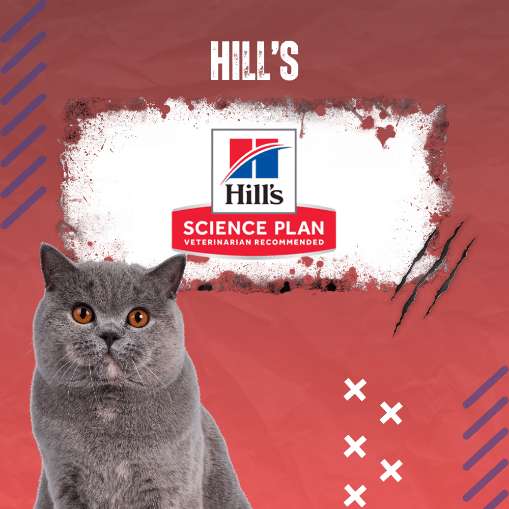 Храна за котка Hills