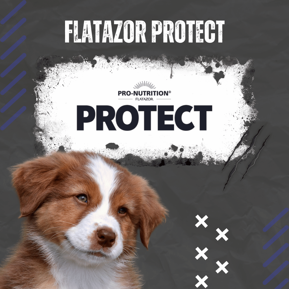 Храна за куче Flatazor Protect