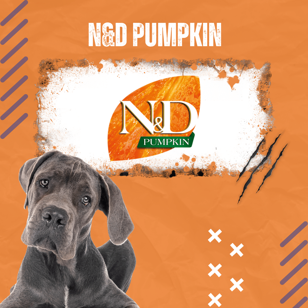 Храна за куче ND Pumpkin