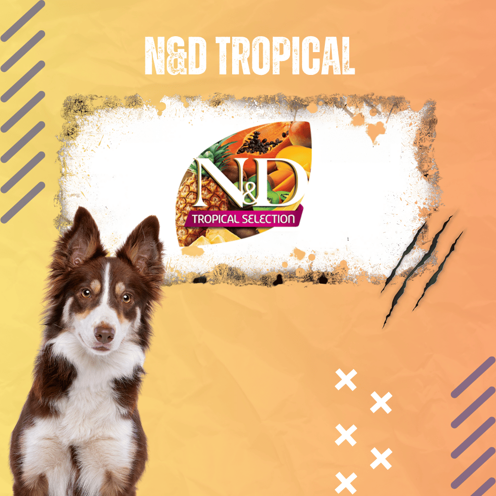 Храна за куче ND Tropical