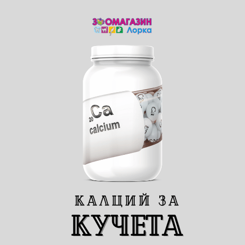 Калций за кучета