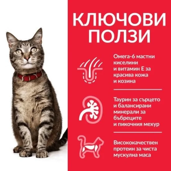 Храна за котка Hills Hills SP Adult- храна за котки с пиле