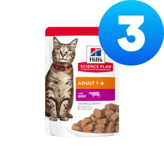 Консерви за котка Hills Hills SP Favourite Selection- пауч за котки в сос