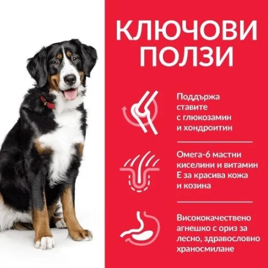 Храна за куче Hills Hills SP Large Adult- за едри породи с агне и ориз