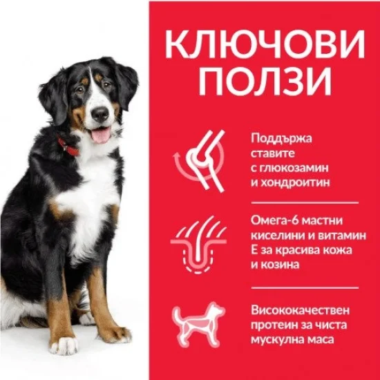 Храна за куче Hills Hills SP Large Adult- за едри породи със пиле