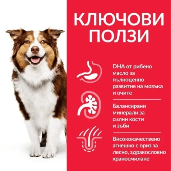 Храна за куче Hills Hills SP Mature Medium- за средни породи с агне, 14 кг