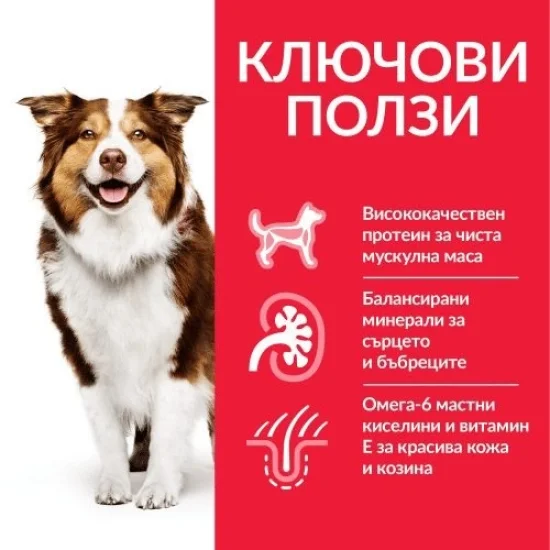 Храна за куче Hills Hills SP Mature Medium- за средни породи с пиле, 14 кг