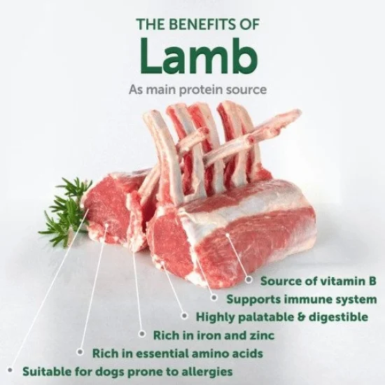 Natures Protection Храна за кучета с червена козина Natures Protection Red coat Mini Lamb - за червена козина, за дребни породи, с агне
