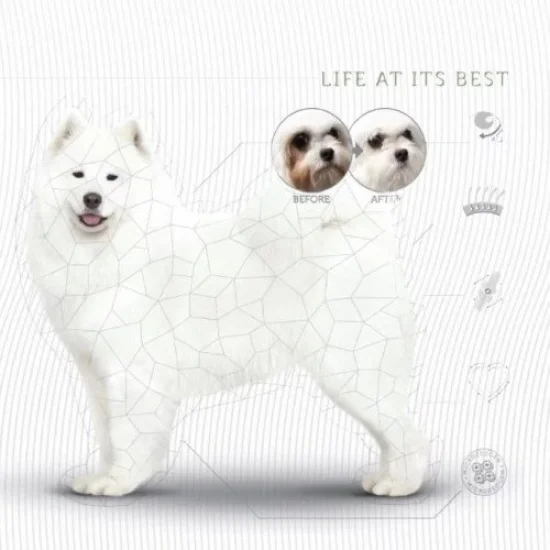 Natures Protection Храна за кучета с бяла козина Natures Protection White dog Large Fish -За бяла козина, за едри породи с бяла риба
