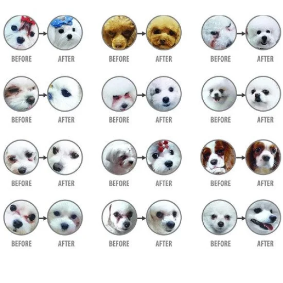 Natures Protection Храна за кучета с бяла козина Natures Protection White dog Mini Junior-За бяла козина, за подрастващи с бяла риба