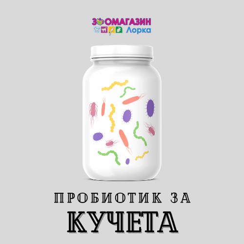 Пробиотик за кучета