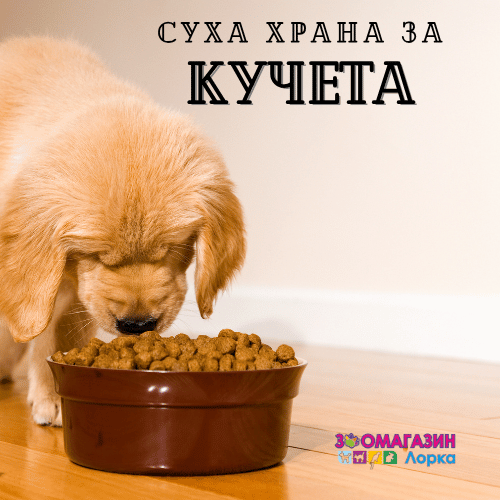 Суха храна за кучета