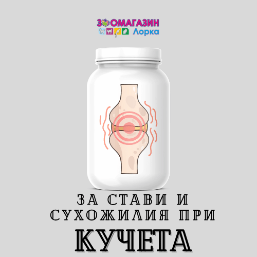 За стави и сухожилия